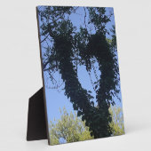 Baumherz Fotoplatte (Seite)