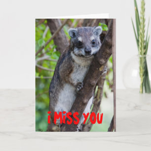 BaumHyrax, DU FEHLST MIR Karte