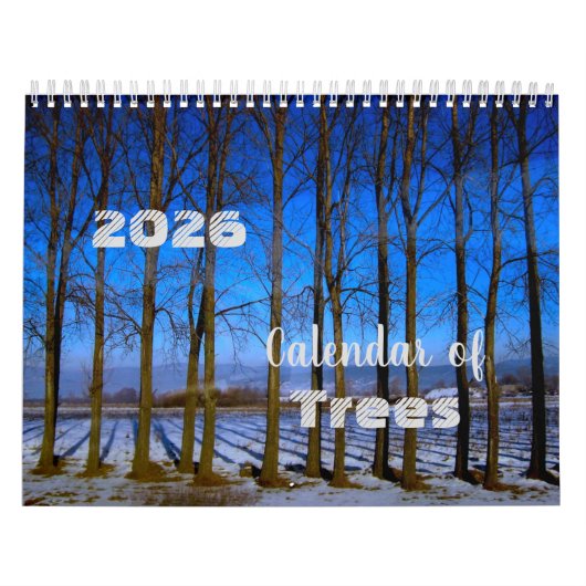 Baumkalender 2025 Schöne Fotos Kalender (Titelbild)