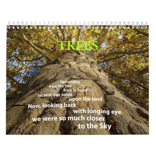 Baumkalender Kalender (Titelbild)