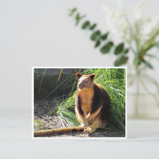 Baumkänguru Postkarte (Stehend Vorderseite)