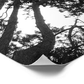 Baumkanopie, Bute Park, Cardiff Poster (Ecke)