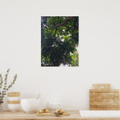 Baumkanopie mit dekorativen Orbs Urbane Natur Poster (Küche)