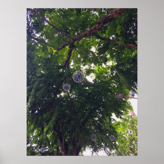 Baumkanopie mit dekorativen Orbs Urbane Natur Poster (Vorne)