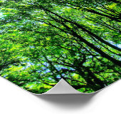 Baumkanopie Poster (Ecke)