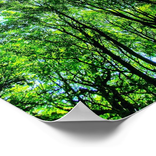 Baumkanopie Poster (Ecke)