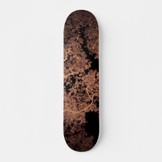 Baumkarte 5 skateboard (Vorne)