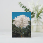 Baumkarte mit Wolken Postkarte (Stehend Vorderseite)