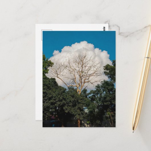Baumkarte mit Wolken Postkarte (Vorderseite/Rückseite Beispiel)