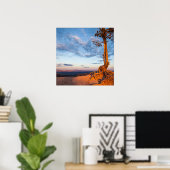 Baumklammern an Ledge, Nationalpark Bryce Canyon Poster (Heimbüro)