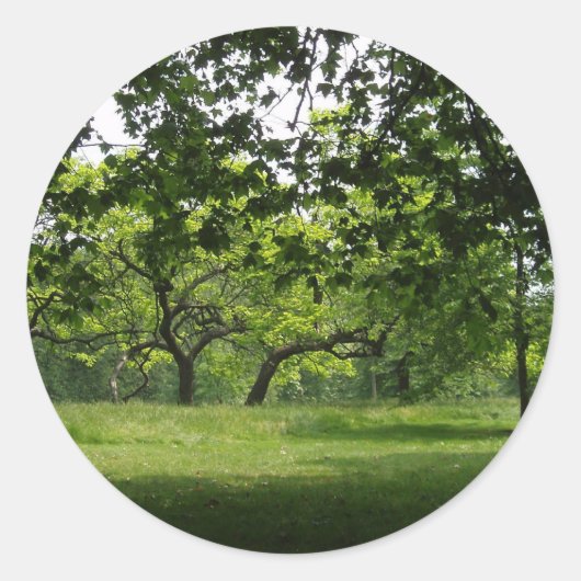 Baumkleber Runder Aufkleber (Vorderseite)