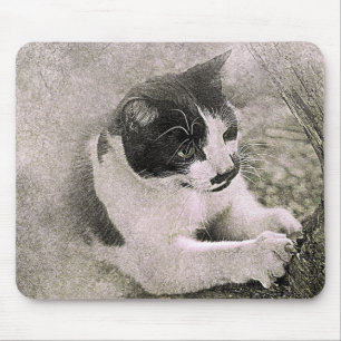 Baumkletterkatze ABSTRAKT Wasserfarbe Mousepad
