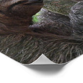 Baumklettern-Schlampe-Plakat drucken Poster (Ecke)