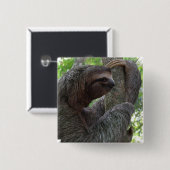 Baumkletterndes Sloth-quadratisches Button (Vorne & Hinten)