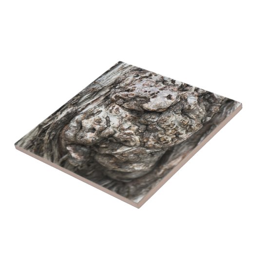 Baumknoten Fliese (Seite)