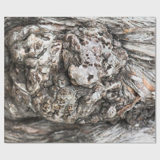 Baumknoten Geschenkpapier (Flach)