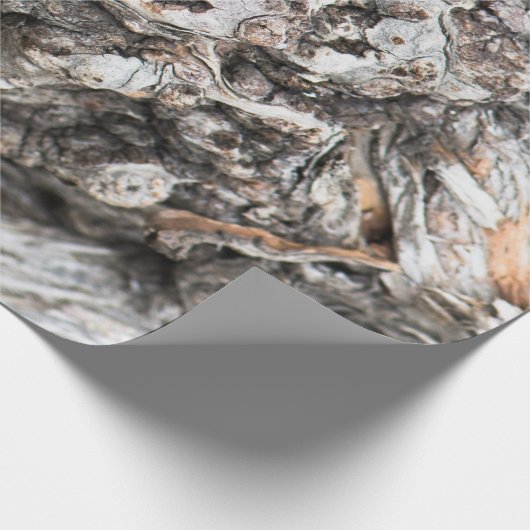 Baumknoten Geschenkpapier (Ecke)