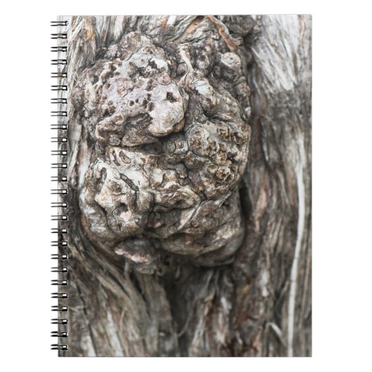 Baumknoten Notizblock (Vorderseite)