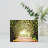 Baumkorridor Postkarte (Stehend Vorderseite)