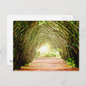 Baumkorridor Postkarte (Vorne/Hinten)