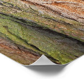 Baumkronen Poster (Ecke)