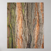 Baumkronen Poster (Vorne)