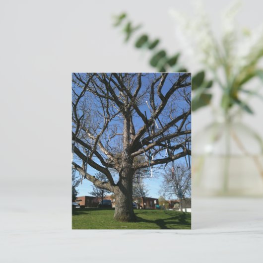 Baumkronen Postkarte (Stehend Vorderseite)