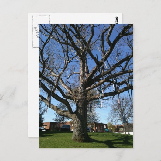 Baumkronen Postkarte (Vorne/Hinten)