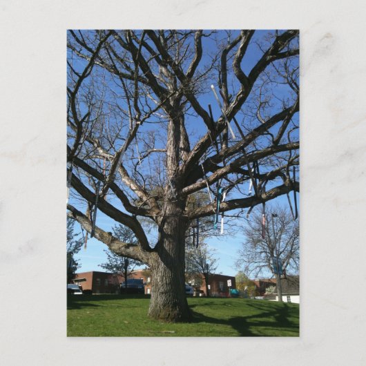 Baumkronen Postkarte (Vorderseite)