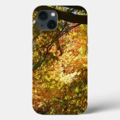 Baumkronen von Herbstlauben I Gelbe Herbstlandscha Case-Mate iPhone Hülle (Rückseite)