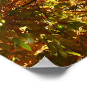 Baumkronen von Herbstlauben I Gelbe Herbstlandscha Poster (Ecke)