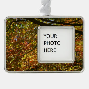 Baumkronen von Herbstlauben I Gelbe Herbstlandscha Rahmen-Ornament Silber