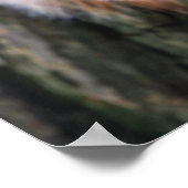 Baumkronenplakat Poster (Ecke)