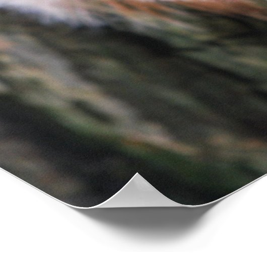 Baumkronenplakat Poster (Ecke)