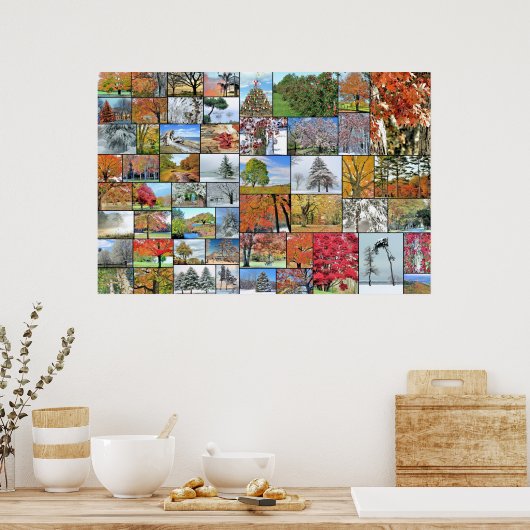 Baumkronenposter 36 x 24 poster (Küche)