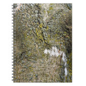 Baumkurren und Moostextur Notizblock (Vorderseite)
