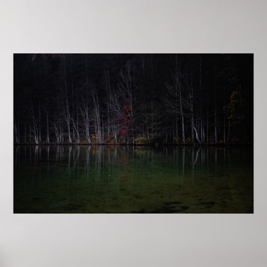 Baumlandschaft am See Poster (Vorne)