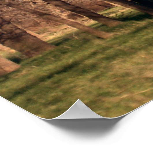 Baumlandschaft Poster (Ecke)