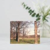 Baumlandschaft Postkarte (Stehend Vorderseite)