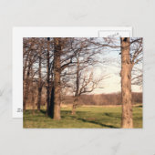 Baumlandschaft Postkarte (Vorne/Hinten)
