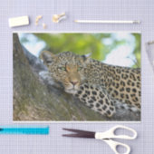 Baumleoparpapier Seidenpapier (Handwerk)