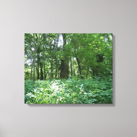 Baumlinie Leinwanddruck (Vorderseite)