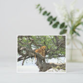 Baumlionie Postkarte (Stehend Vorderseite)