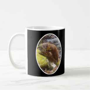 Baummarder Auf Stamm Grüner Moos Wald Wildnis Kaffeetasse
