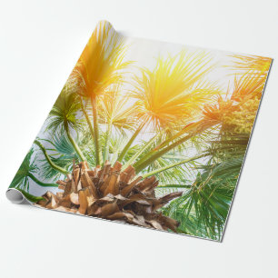 Baumpalme hell sonne sommer hintergrund. tropisch  geschenkpapier