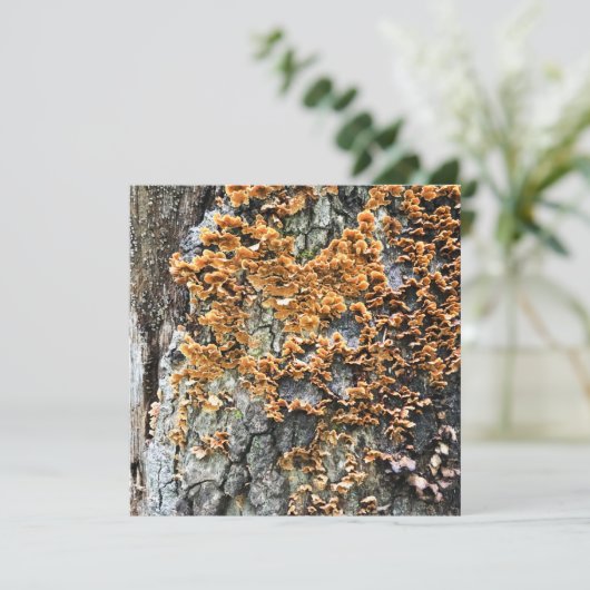 Baumpilz Einladung (Stehend Vorderseite)