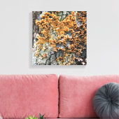 Baumpilz Leinwanddruck (Insitu (Wohnzimmer))