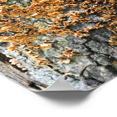 Baumpilz Poster (Ecke)