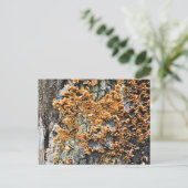 Baumpilz Postkarte (Stehend Vorderseite)