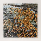 Baumpilz Puzzle (Horizontal)